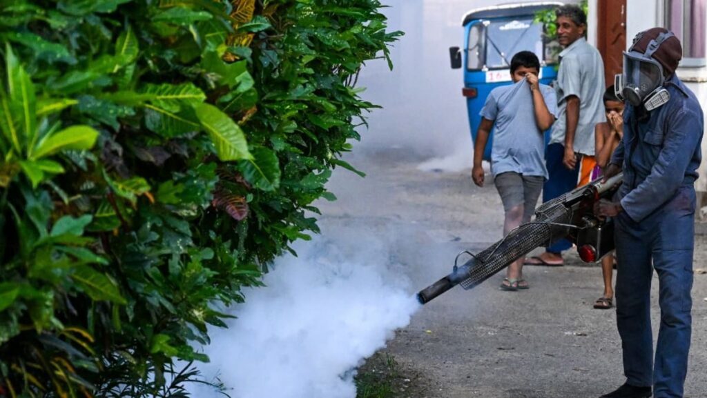 Sri Lanka expands anti-dengue drive as deaths mount Sri Lanka expands anti-dengue drive as deaths mount