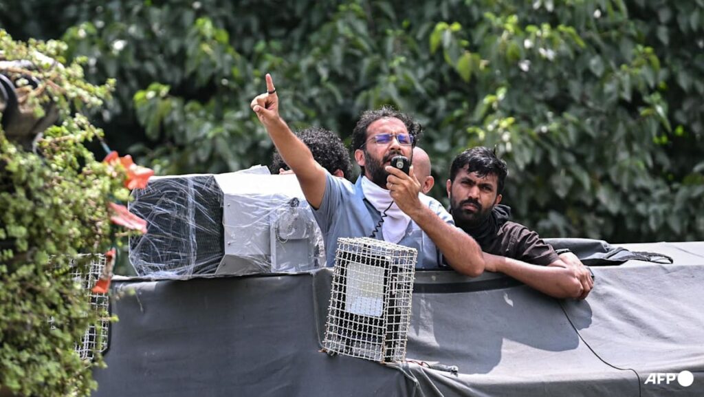 India activists demand release of detained ‘cockroach’ protesters