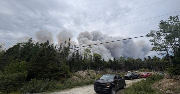 Wildfire northeast of Halifax being held, N.S. officials say Wildfire northeast of Halifax being held, N.S. officials say