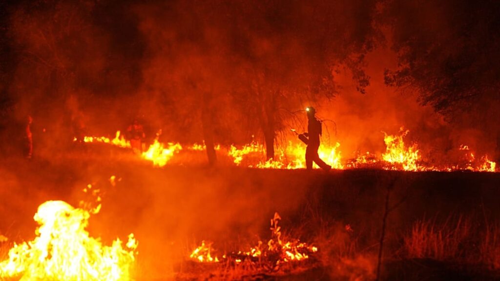 False claims about devastating wildfires spread in Spain False claims about devastating wildfires spread in Spain