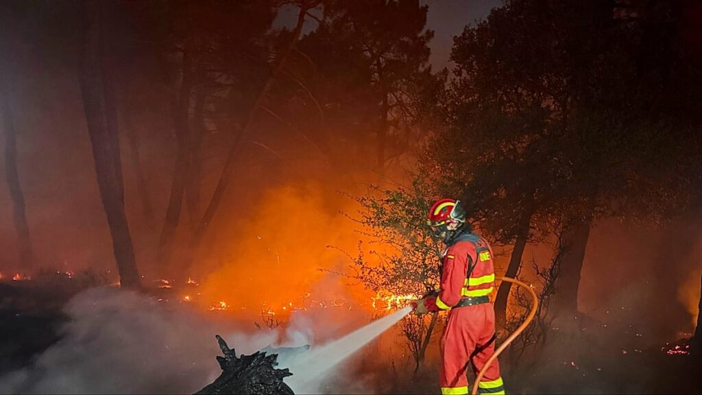Aragón ablaze: Zaragoza wildfire scorches 12,000 hectares Aragón ablaze: Zaragoza wildfire scorches 12,000 hectares