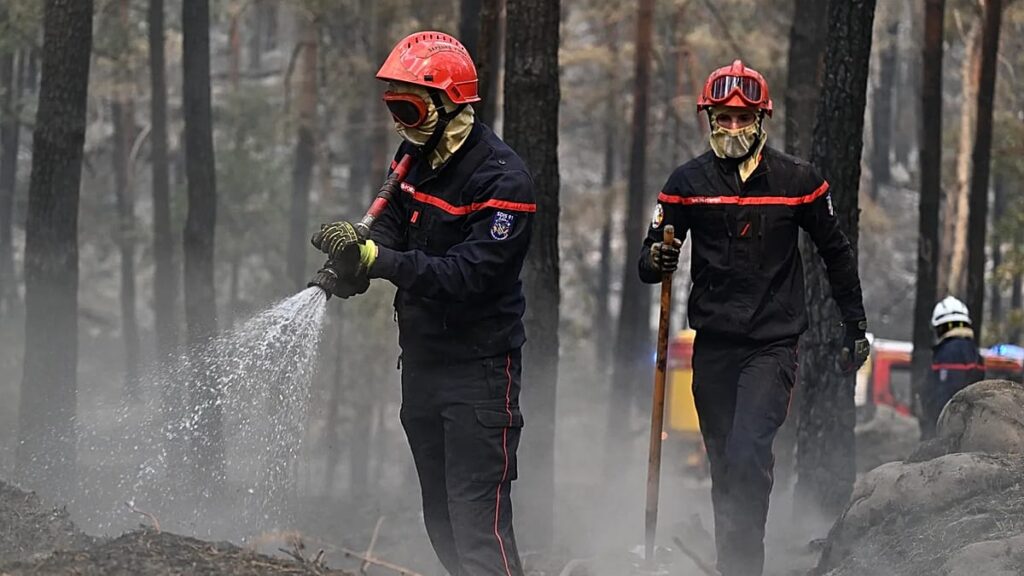 France suffers record wildfire destruction by mid-July