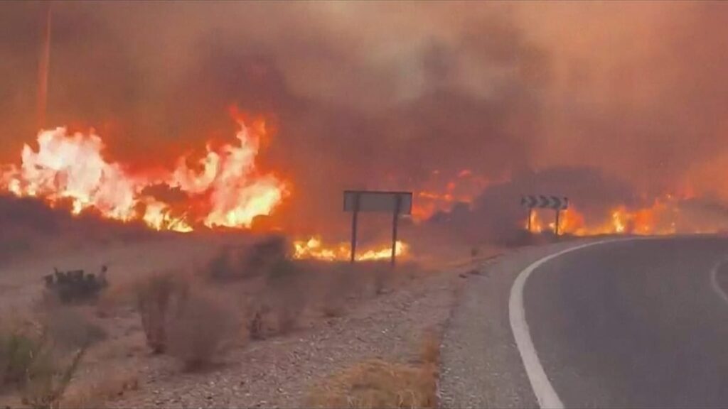 12 people killed as wildfires tear through southern Spain