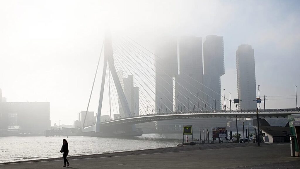 Two trams collide on Rotterdam’s Erasmus Bridge, injuring 15