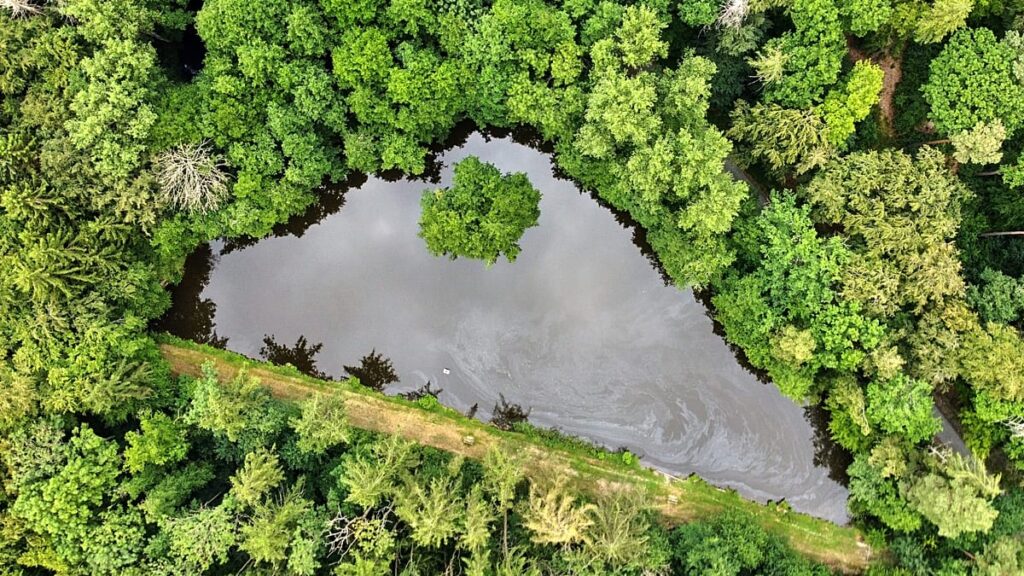 From AI to greenlash: How is climate disinformation evolving? From AI to greenlash: How is climate disinformation evolving?