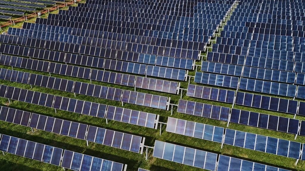 Why is Europe still wasting clean energy? Take our poll