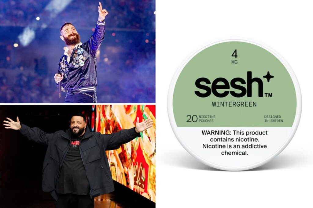 DJ Khaled joins celebs boosting nicotine pouch startup Sesh as it aims to compete with Zyn DJ Khaled joins celebs boosting nicotine pouch startup Sesh as it aims to compete with Zyn