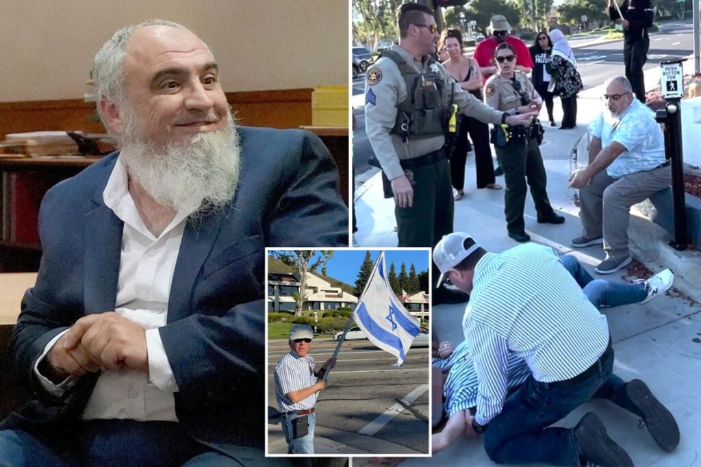 Pro-Palestinian man jailed for one year over death of Jewish demonstrator Pro-Palestinian man jailed for one year over death of Jewish demonstrator