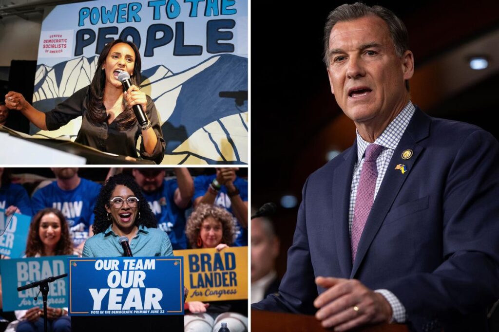 Capitalists fight back: NY Dem launches campaign to counter socialist wave sweeping party Capitalists fight back: NY Dem launches campaign to counter socialist wave sweeping party