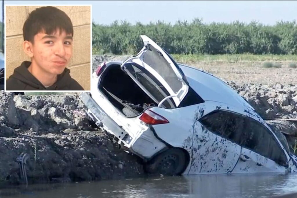 High-school student, 15, dies after driving into a canal under strange circumstances High-school student, 15, dies after driving into a canal under strange circumstances