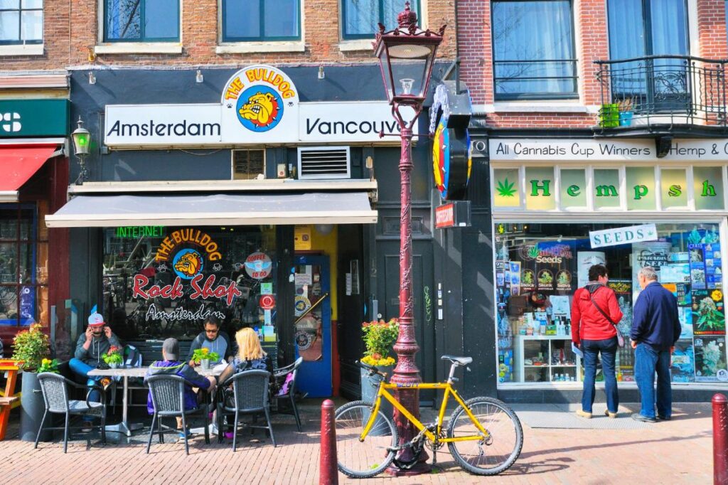 California city votes to transform into Amsterdam pot smokers’ paradise California city votes to transform into Amsterdam pot smokers’ paradise