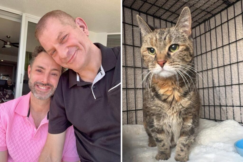 Cat survives more than a week trapped inside NYC home that was sealed by cops after owners died unexpectedly Cat survives more than a week trapped inside NYC home that was sealed by cops after owners died unexpectedly