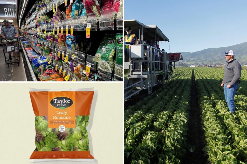 Taylor Farms releases full recall list after ‘explosive diarrhea’ cyclosporiasis outbreak Taylor Farms releases full recall list after ‘explosive diarrhea’ cyclosporiasis outbreak