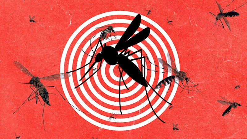 AI device detecting the world’s deadliest creature AI device detecting the world’s deadliest creature