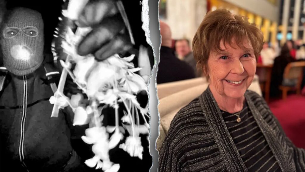 Nancy Guthrie update: DNA couldn’t be profiled from crime scene hair sample, sheriff says