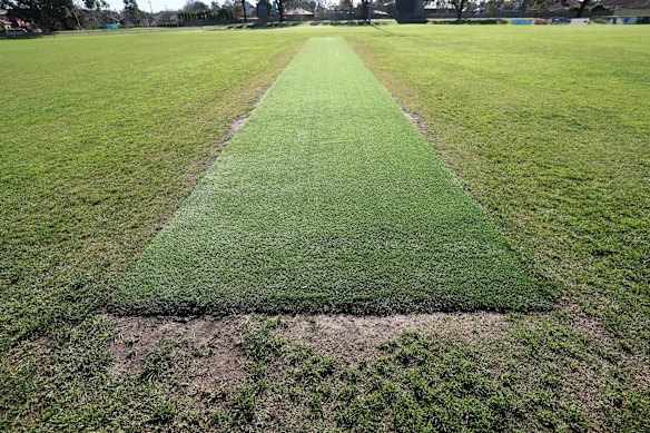 The Lalor pitch.