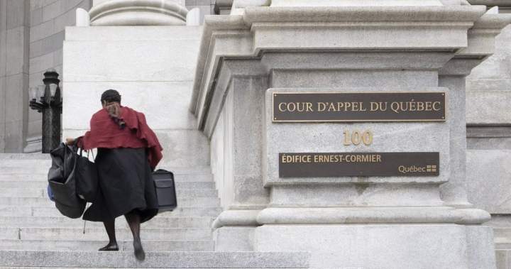 Mandatory minimum for child sex abuse material is unconstitutional, says Quebec court Mandatory minimum for child sex abuse material is unconstitutional, says Quebec court