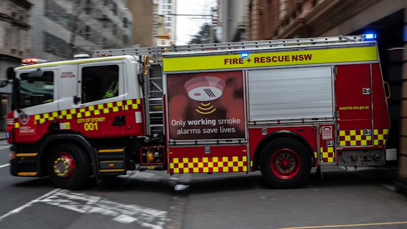 Three people found dead in home on Cornelia Street Three people found dead in home on Cornelia Street