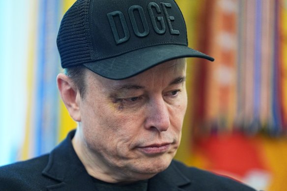 Elon Musk was appointed head of the Department of Government Efficiency in 2024.