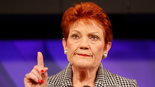 One Nation leader Pauline Hanson at the National Press Club on Wednesday.