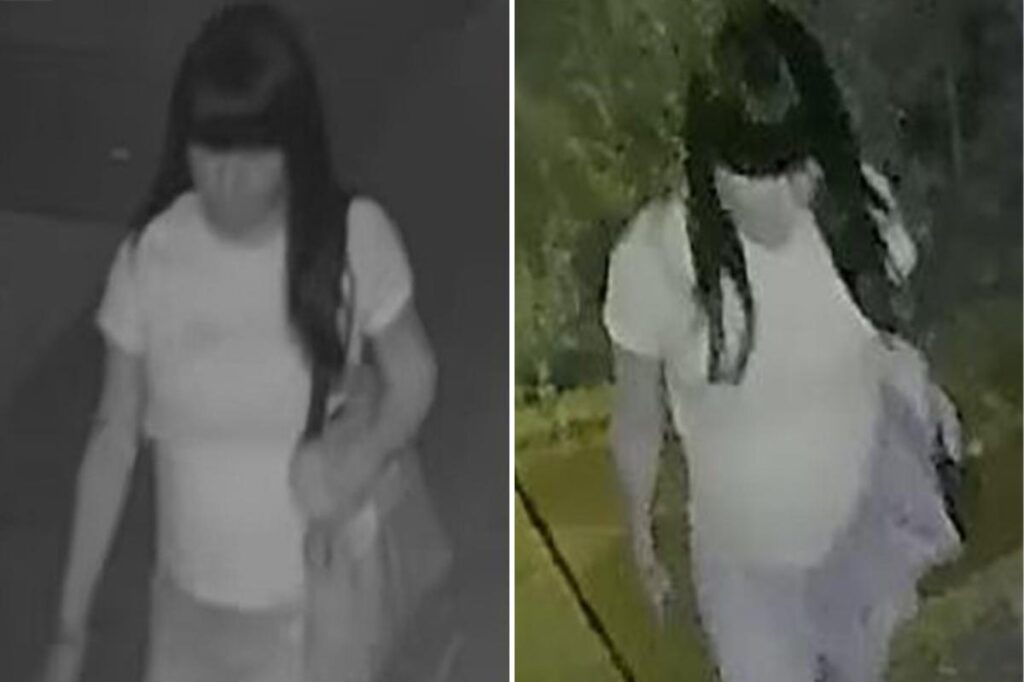Police searching for creep who raped boy, 15, in back of NYC home