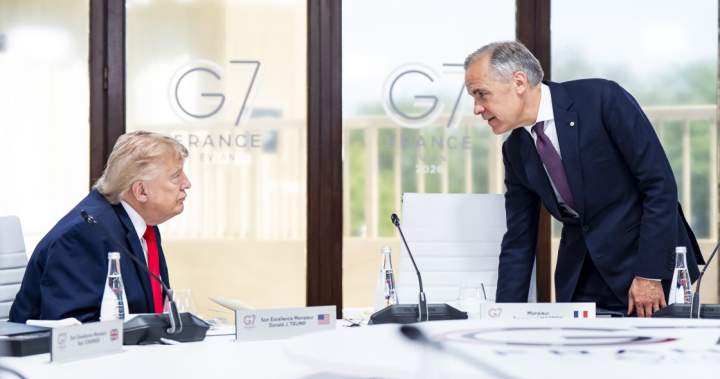‘Cost of drama is too high,’ expert says as NATO leaders meet in Turkey ‘Cost of drama is too high,’ expert says as NATO leaders meet in Turkey