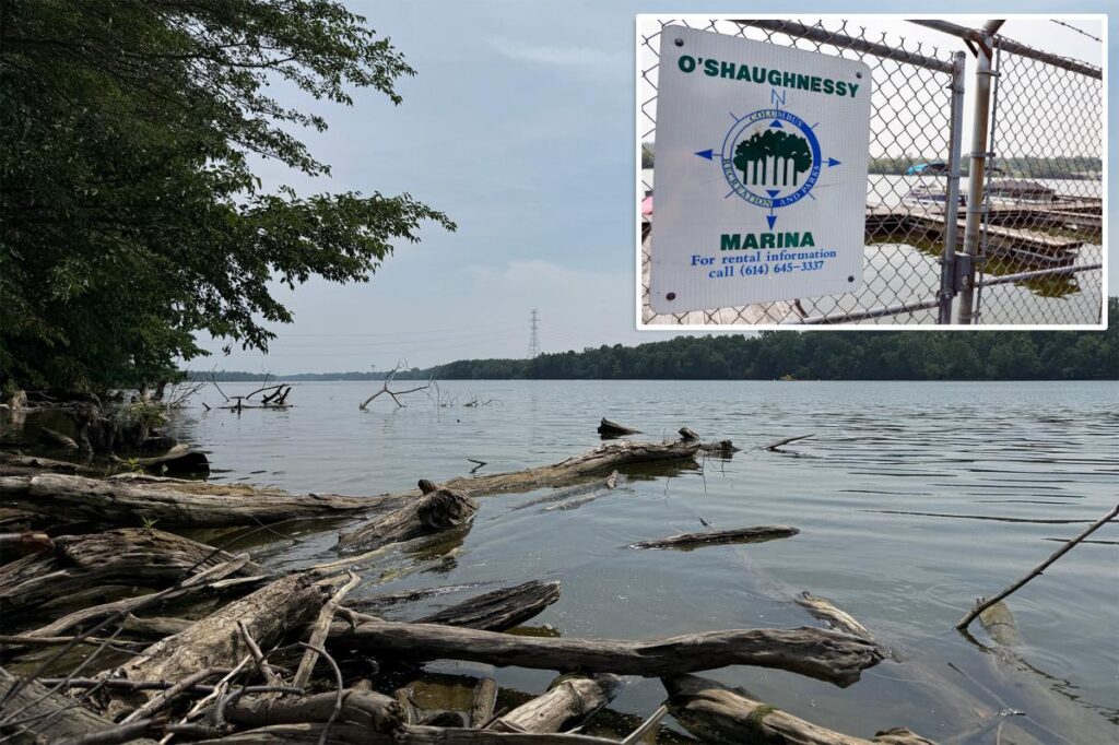 5 dead after two sets of parents rush into Ohio River to rescue struggling swimmer and all drown 5 dead after two sets of parents rush into Ohio River to rescue struggling swimmer and all drown