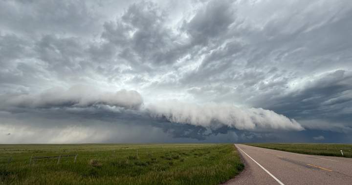 Environment Canada issues tornado warning for parts of Manitoba Environment Canada issues tornado warning for parts of Manitoba