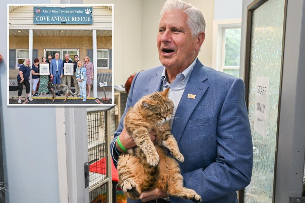 Bruce Blakeman calls for greater animal protections after 155 neglected cats, dogs rescued from LI hoarder’s house of horrors Bruce Blakeman calls for greater animal protections after 155 neglected cats, dogs rescued from LI hoarder’s house of horrors