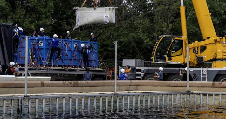 Six Marineland belugas now swimming in new U.S. homes Six Marineland belugas now swimming in new U.S. homes