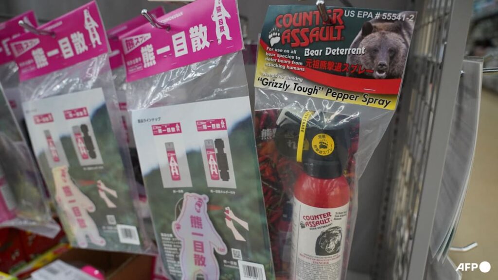 Bear spray goes off in Japan post office, five hospitalised Bear spray goes off in Japan post office, five hospitalised