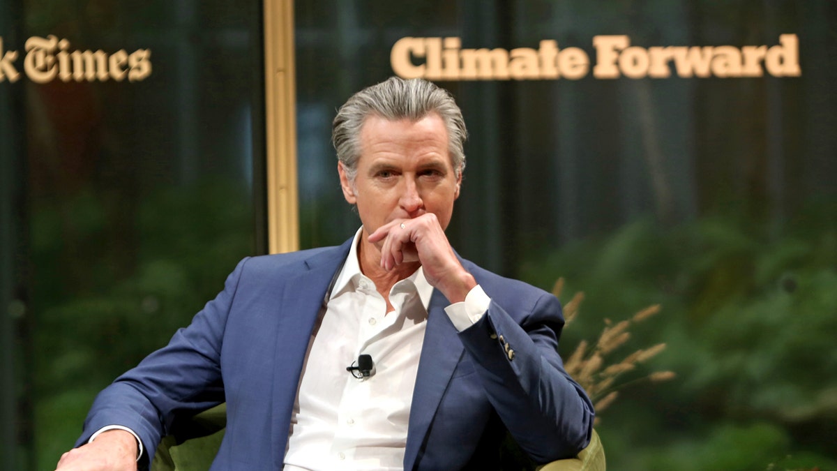 Gavin Newsom