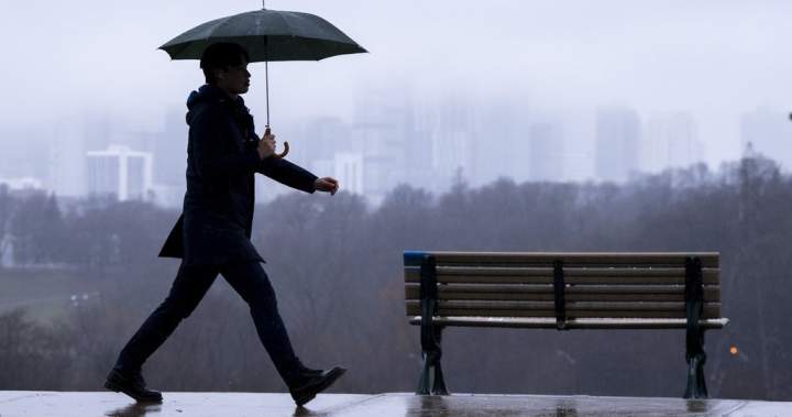 ‘Heavy rainfall’ begins in Toronto with severe thunderstorm warning in place ‘Heavy rainfall’ begins in Toronto with severe thunderstorm warning in place