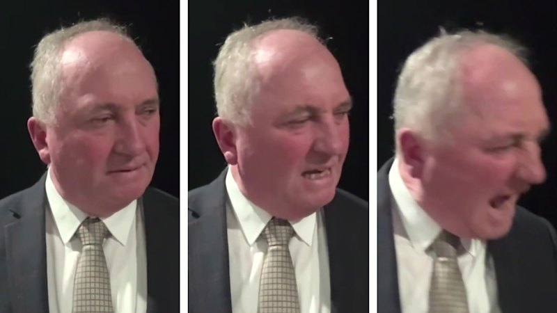 Joyce is clearly barking up the wrong tree Joyce is clearly barking up the wrong tree
