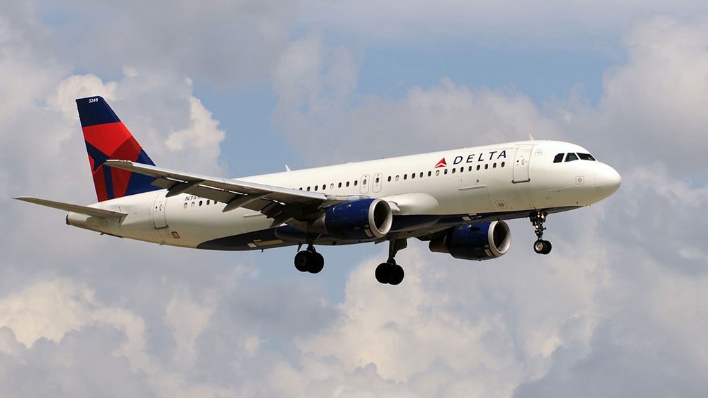 Delta flight struck by fireworks while landing in Chicago on Fourth of July, FAA investigates Delta flight struck by fireworks while landing in Chicago on Fourth of July, FAA investigates