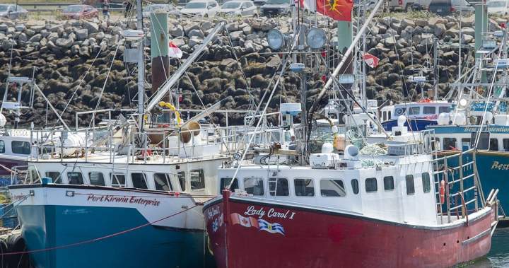 Indigenous lobster fishing: N.S. judge says dispute must be handled by Ottawa Indigenous lobster fishing: N.S. judge says dispute must be handled by Ottawa