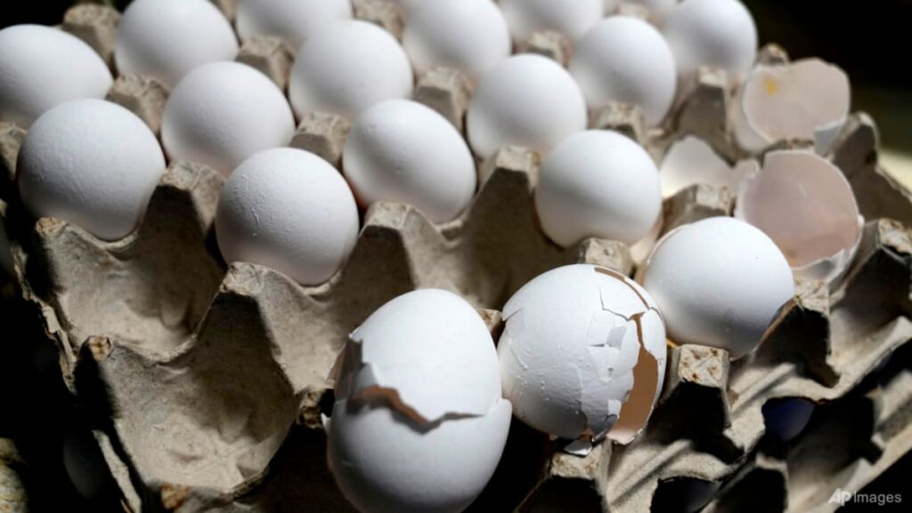 Egg-free school meals scramble politics in India Egg-free school meals scramble politics in India