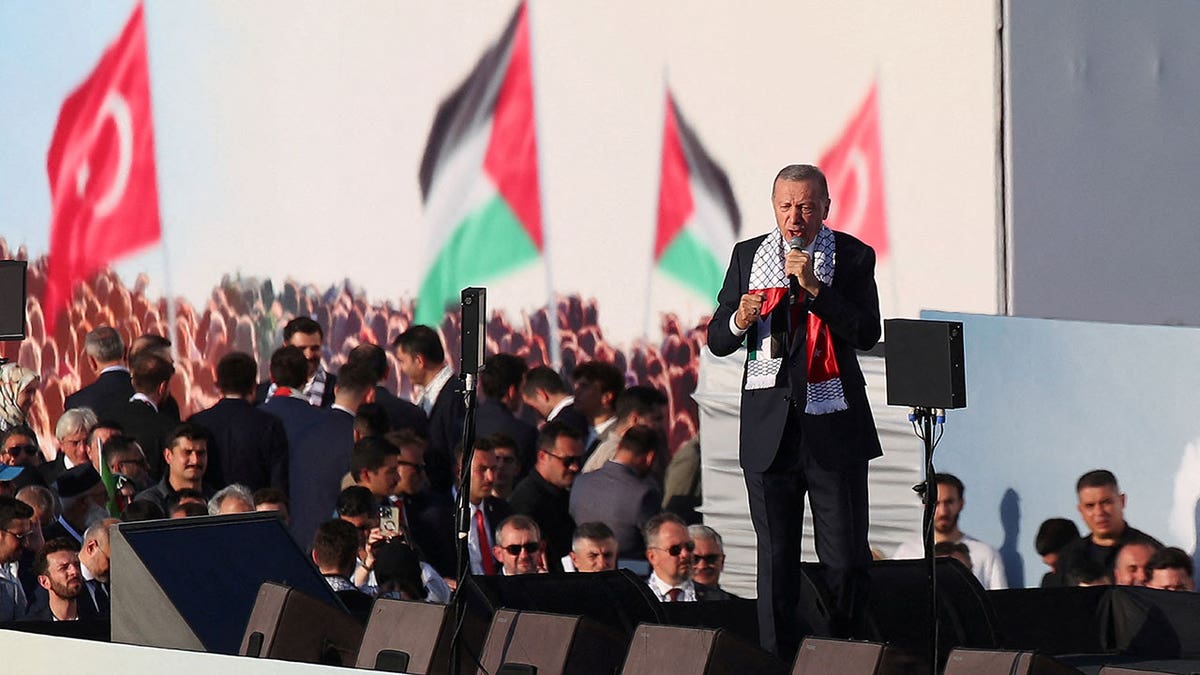 Turkish President Tayyip Erdogan speaks during a rally in solidarity with Palestinians in Gaza