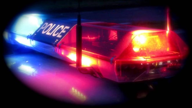 Man critically injured in suburban fight Man critically injured in suburban fight
