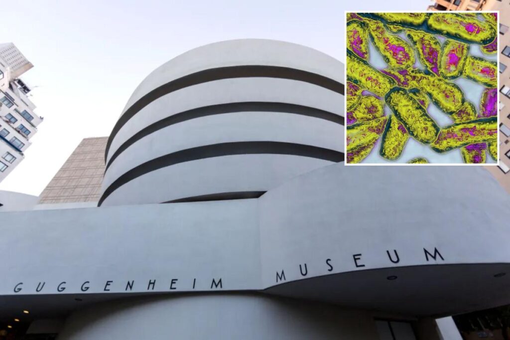 Guggenheim Museum among 31 NYC buildings infected with Legionnaires bacteria Guggenheim Museum among 31 NYC buildings infected with Legionnaires bacteria