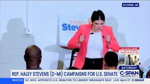 Rep Haley Stevens viral stump speech