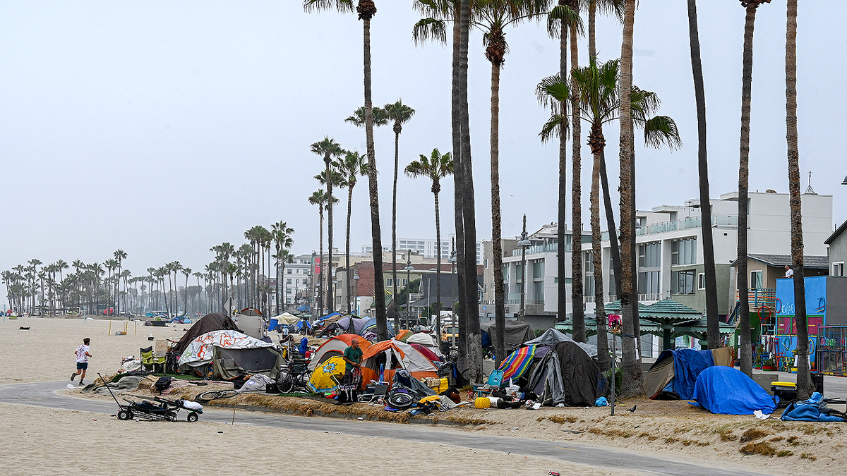 Homeless encampments line the Venice Beach boardwalk in Los Angeles, California