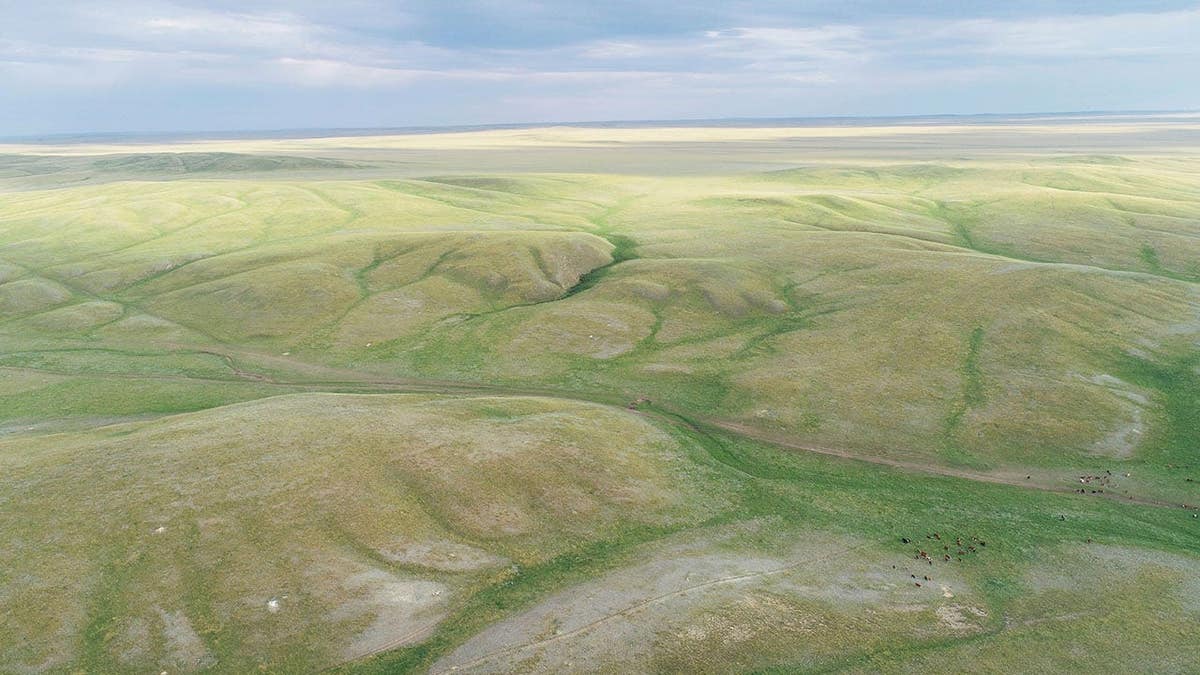 Aerial view of grassland stretching across the Akmola region in northern Kazakhstan.