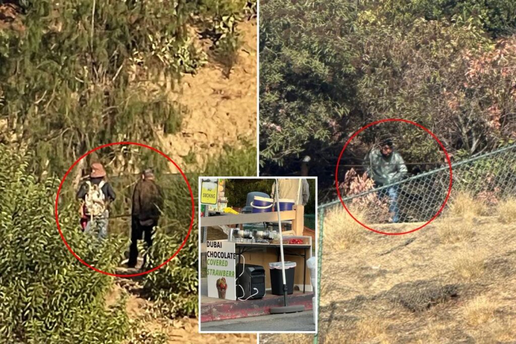 Exclusive | Lake Hollywood Park rocked by wave of truly disgusting acts — before food is served Exclusive | Lake Hollywood Park rocked by wave of truly disgusting acts — before food is served
