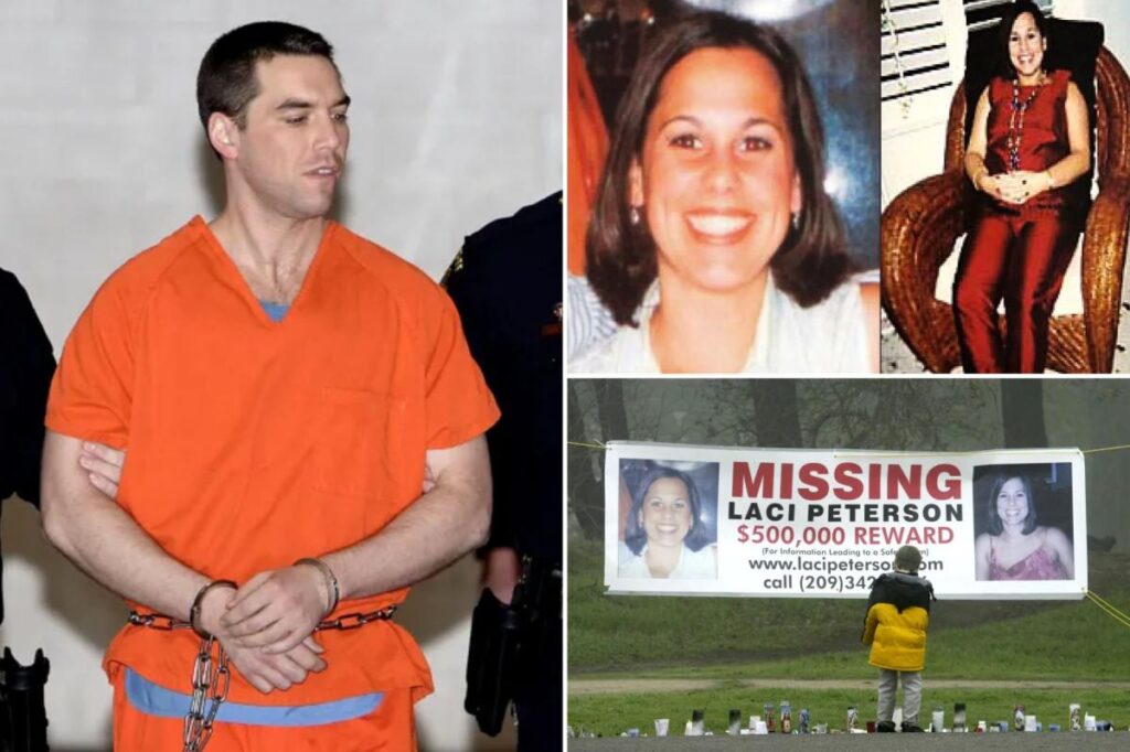 Scott Peterson deserves another trial after ‘new evidence’ in murder investigation, retired detective says Scott Peterson deserves another trial after ‘new evidence’ in murder investigation, retired detective says