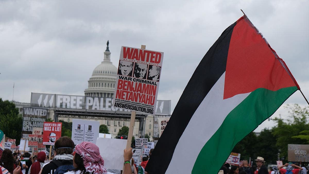 Pro-Palestinian supporters gather outside the U.S. Capitol on July 24, 2024.