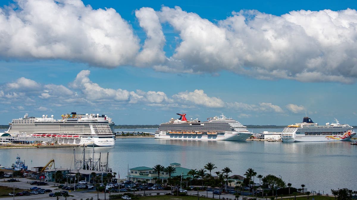 Idle cruise ships at Port Canaveral, Florida