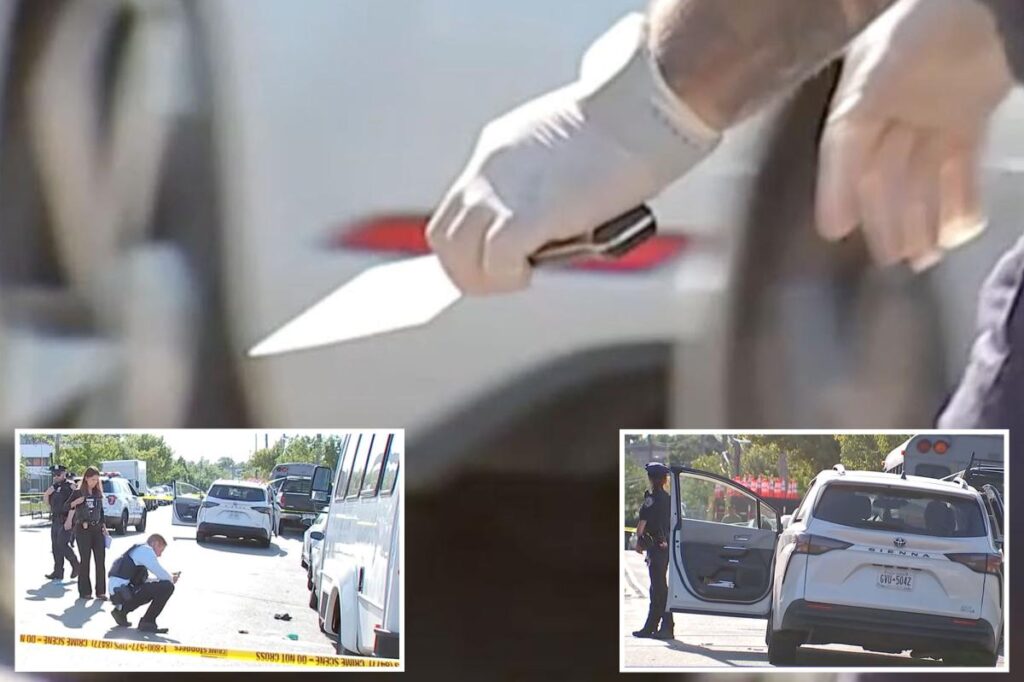 Maniac repeatedly stabs man with meat cleaver during early morning road-rage clash in Queens: sources
