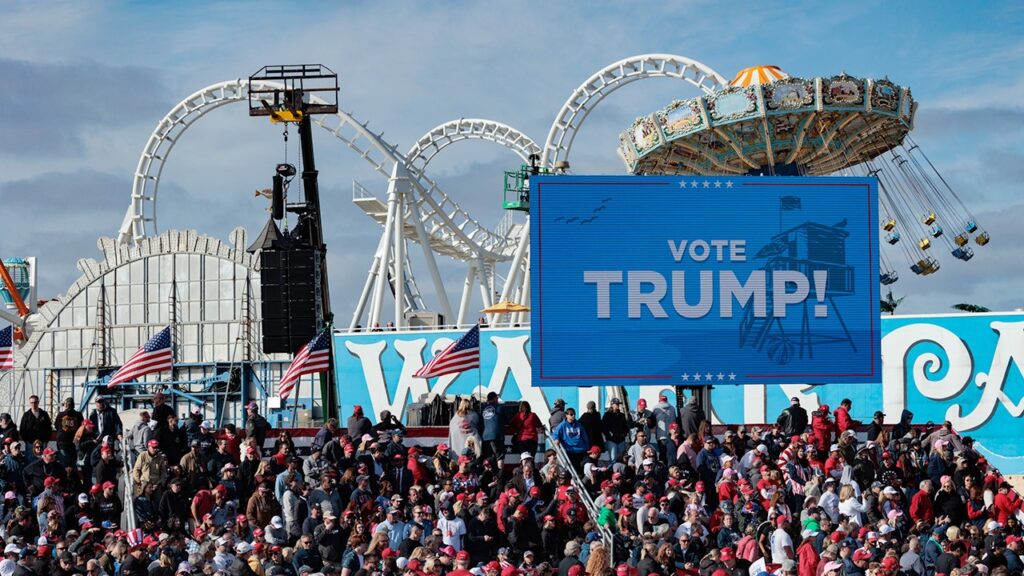 Canadian woman accused of slapping Trump-supporting teen turned over to ICE Canadian woman accused of slapping Trump-supporting teen turned over to ICE