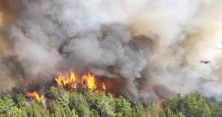 Ford government taps Canadian military for help with massive Ontario wildfires Ford government taps Canadian military for help with massive Ontario wildfires